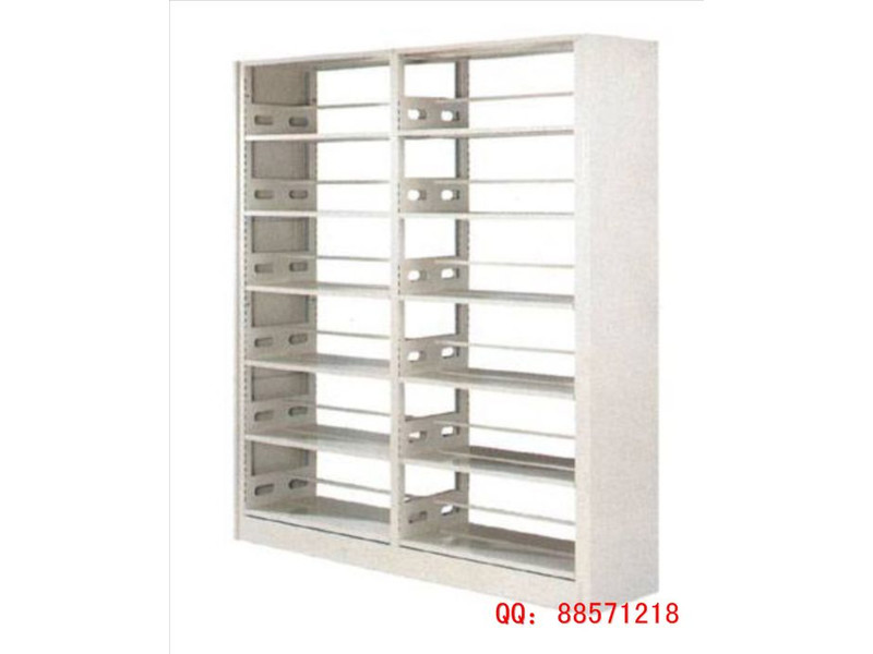 雙聯(lián)鐵書架